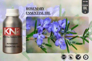 ROSEMARY ESSENTIAL OIL