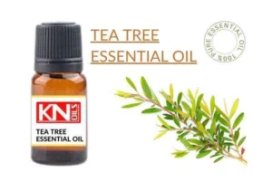 TEA-TREE-ESSENTIAL-OIL_11zon_result