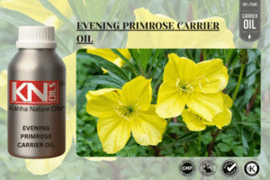 EVENING PRIMROSE CARRIER OIL