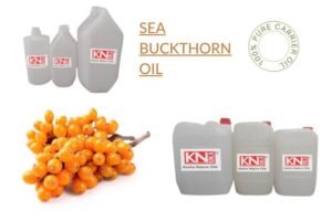 SEA BUCKTHORN OIL