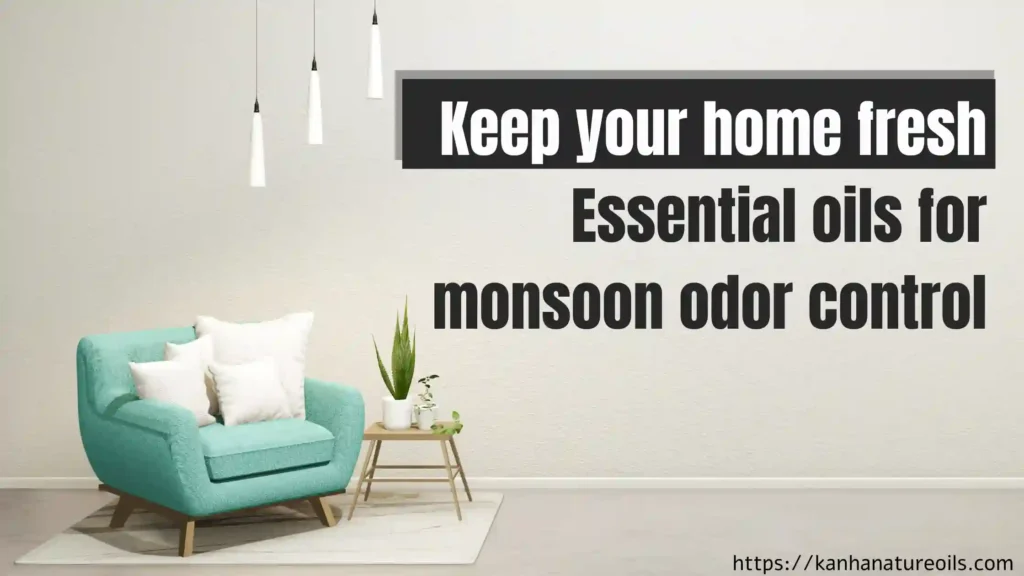 Keep your home fresh Essential oils for monsoon odor control-1