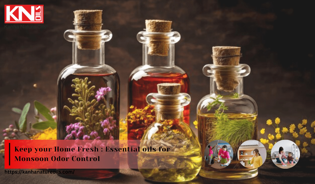 Keep your Home Fresh : Essential oils for Monsoon Odor Control