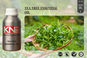 TEA TREE ESSENTIAL OIL