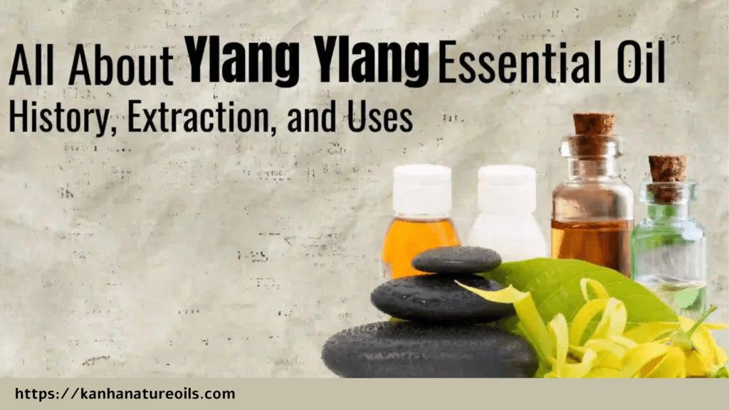 All about Ylang Ylang Essential oil