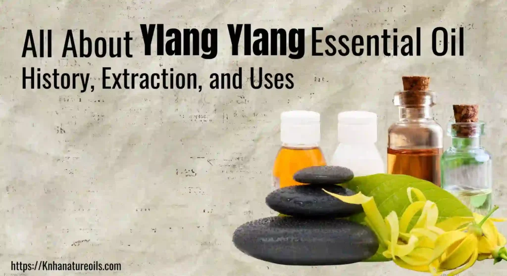 All About Ylang Ylang Essential Oil History, Extraction, and Uses_result