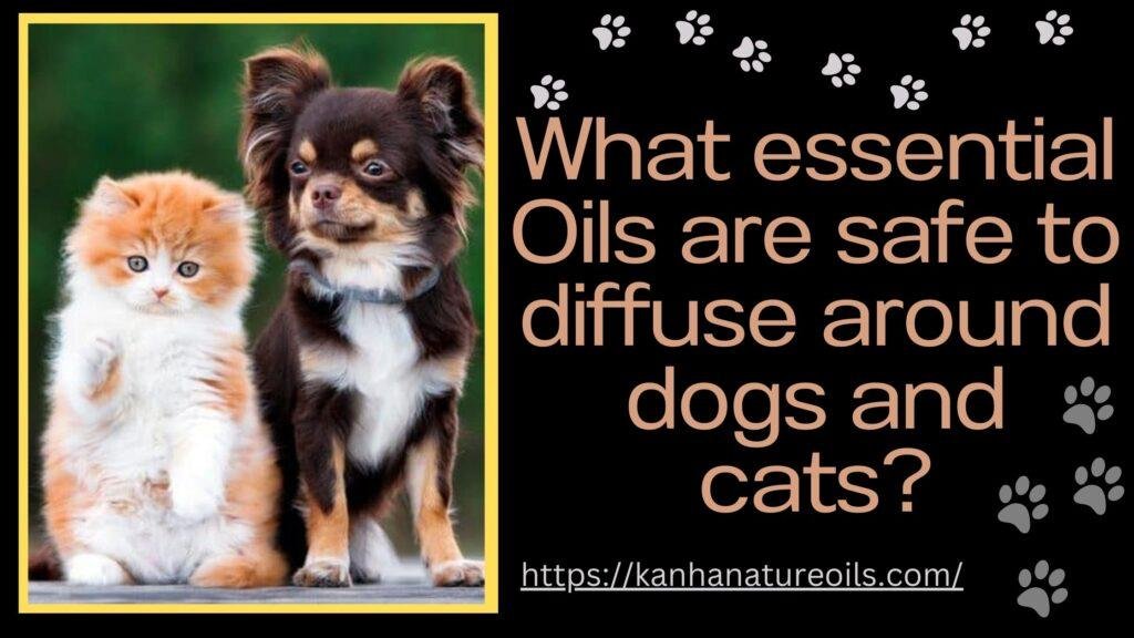 What essential Oils are safe to diffuse around dogs and cats?