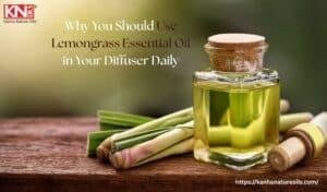 Why You Should Use Lemongrass Essential Oil in Your Diffuser Daily
