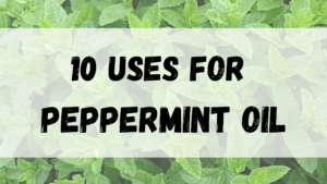10 Uses For Peppermint Oil Kanha Nature Oils