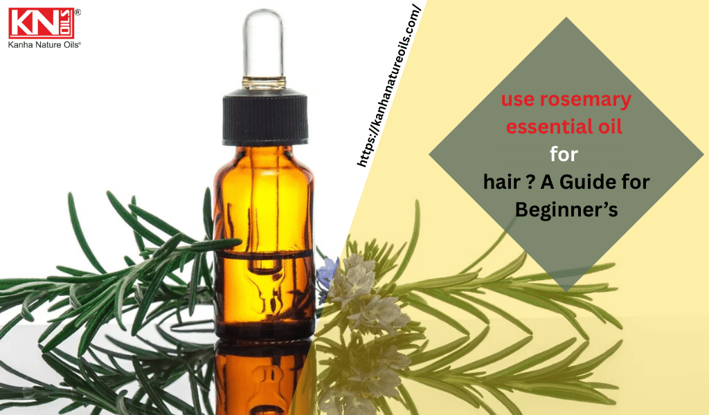 use rosemary essential oil for hair ? A Guide for Beginner’s