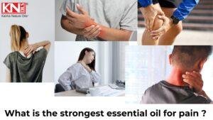 what is the strongest essential oil for pain ? kanha Nature Oils