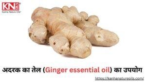 अदरक का तेल (Ginger essential oil) का उपयोग Kanha Nature Oils