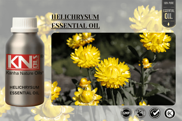 HELICHRYSUM ESSENTIAL OIL
