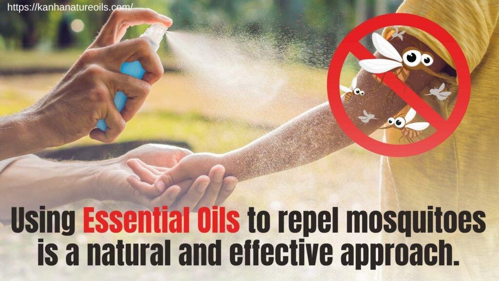 Using Essential Oils to repel mosquitoes is a natural and effective approach. 