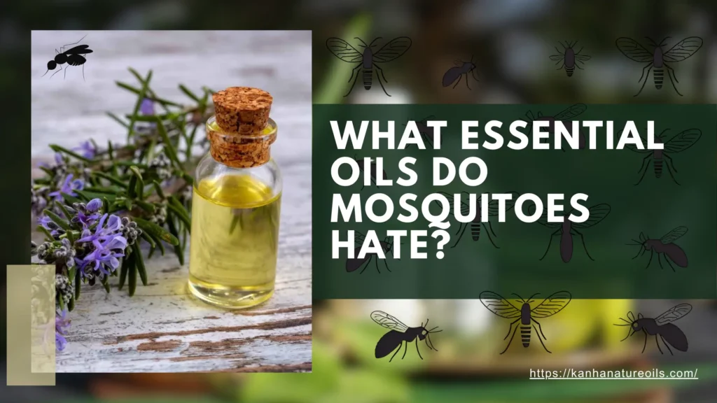 What essential oils do mosquitoes hate ?