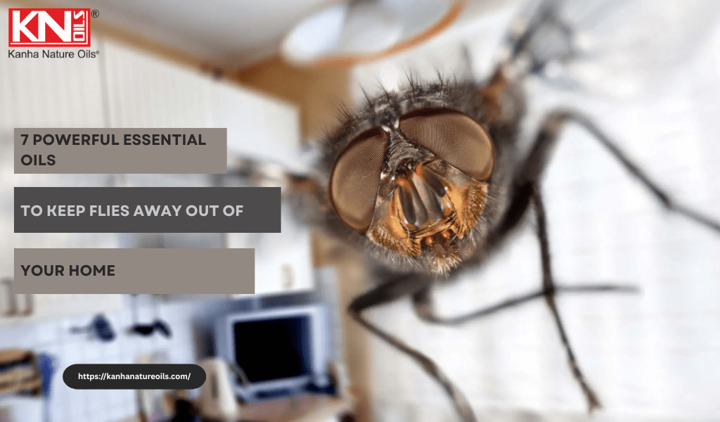 7 powerful essential oils to keep flies away Out of Your Home