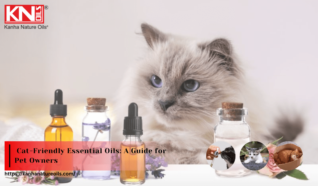 Cat-Friendly Essential Oils: A Guide for Pet Owners
