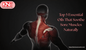 Top 5 Essential Oils That Soothe Sore Muscles Naturally