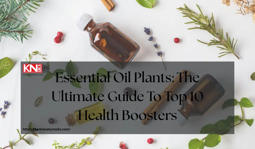 Essential Oil Plants: The Ultimate Guide To Top 10 Health Boosters