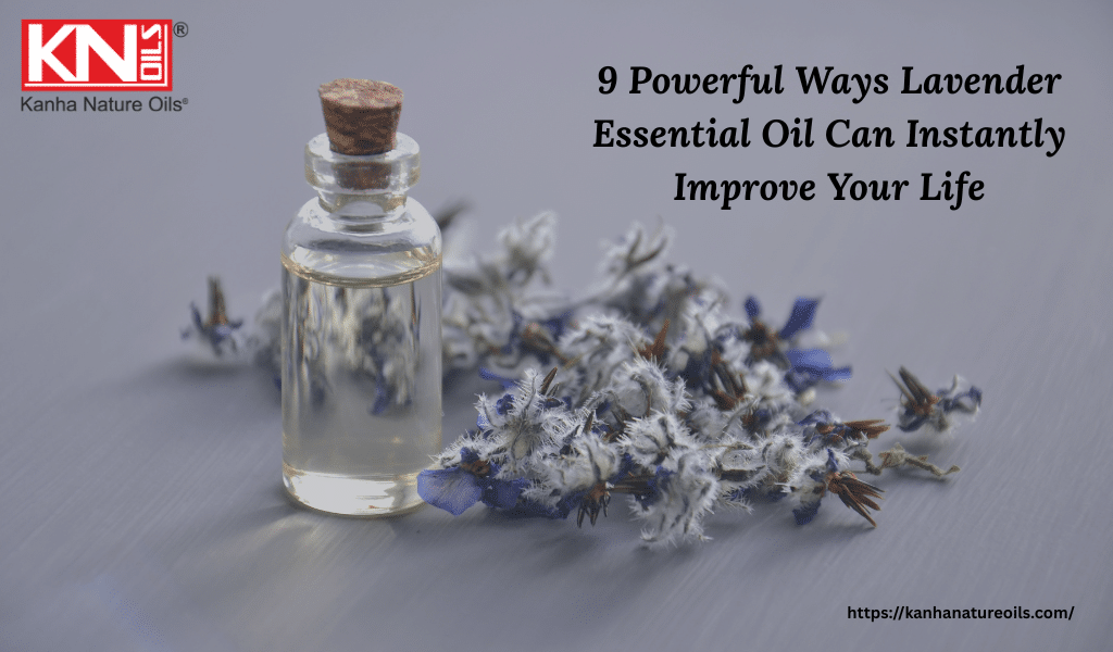 9 Powerful Ways Lavender Essential Oil Can Instantly Improve Your Life