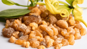 Healing Benefits of Indian Frankincense