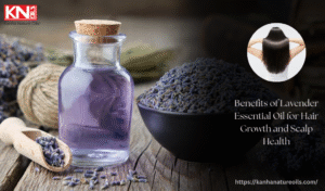Benefits of Lavender Essential Oil for Hair Growth and Scalp Health