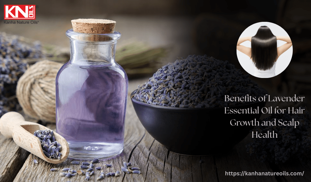Benefits of Lavender Essential Oil for Hair Growth and Scalp Health