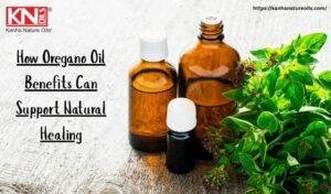 How Oregano Oil Benefits Can Support Natural Healing