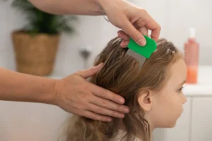 Natural Lice Treatment