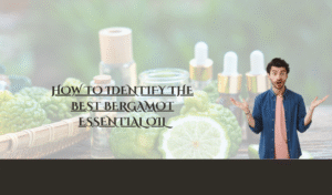 How to Identify the Best Bergamot Essential Oil