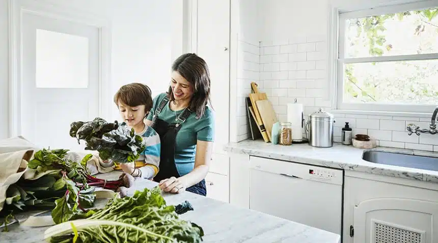 Strengthens the Immune System