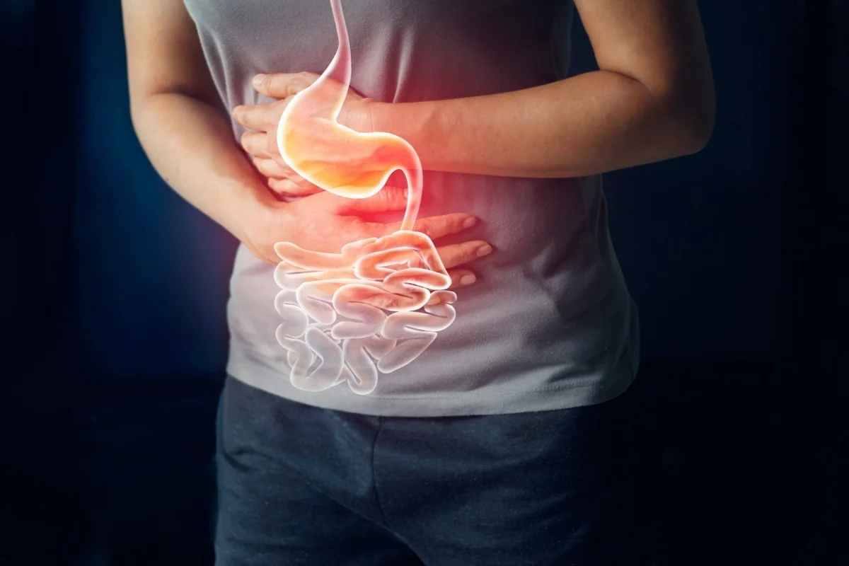 Digestive Health and Gastrointestinal Function