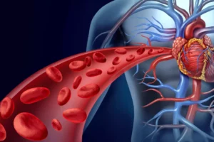 Improved Blood Circulation and Cardiovascular-Related Effects