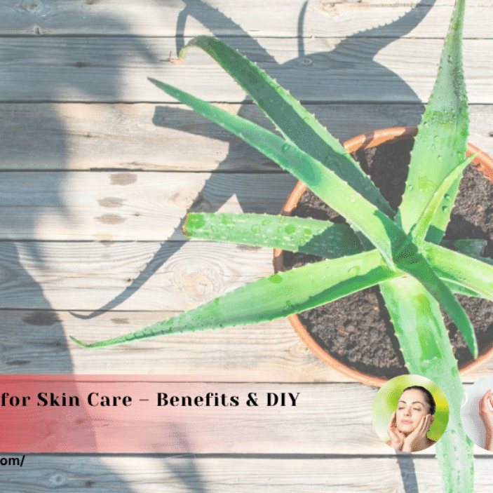 green tea and aloe vera Revitalizing Aloe Vera & Green Tea Makeup Removing Cleansing Wipes – Petal  Fresh