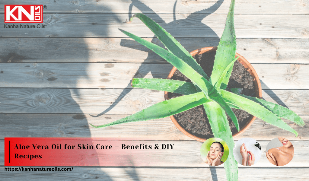 Aloe Vera Oil for Skin Care