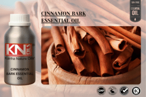Cinnamon Essential Oil