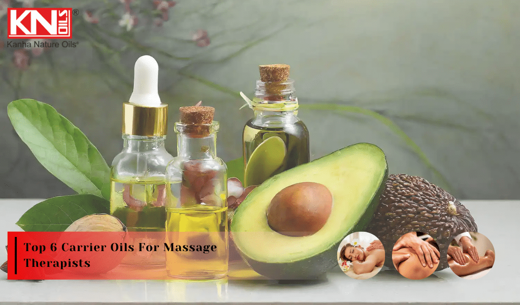 Top 6 Carrier Oils For Massage Therapists