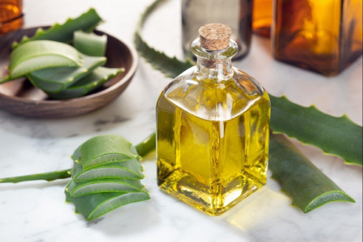 What Is Aloe Vera Oil?
