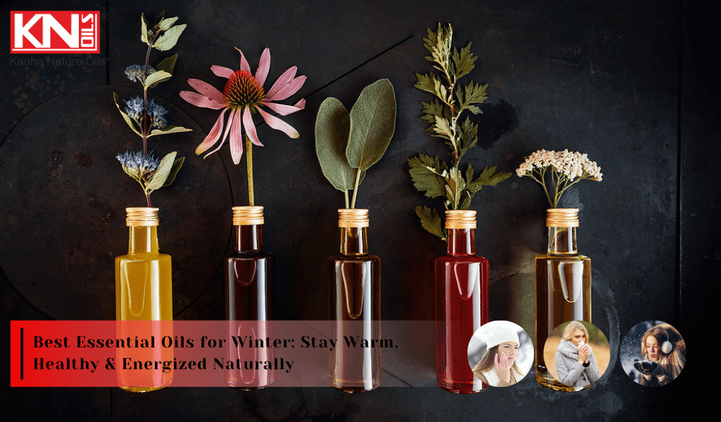 Best Essential Oils for Winter: Stay Warm, Healthy & Energized Naturally