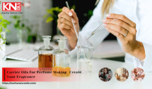 Carrier Oils For Perfume Making—Create Your Fragrance