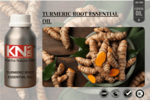 TURMERIC ROOT ESSENTIAL OIL