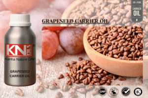 GRAPESEED CARRIER OIL