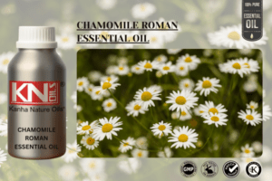 Chamomile Oil