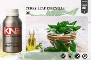 CURRY LEAF ESSENTIAL OIL