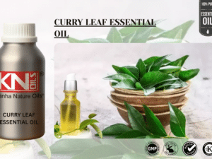 CURRY LEAF ESSENTIAL OIL