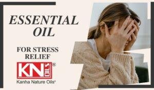 Essential Oils for Stress Relief