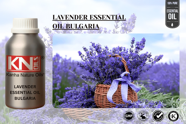 LAVENDER ESSENTIAL OIL BULGARIA