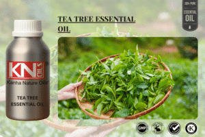 TEA TREE ESSENTIAL OIL