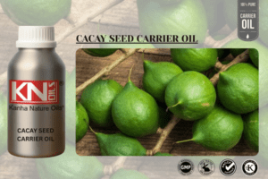 CACAY NUT CARRIER OIL