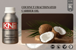COCONUT FRACTIONATED OIL