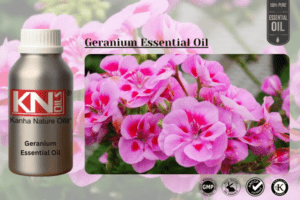 Geranium Essential Oil